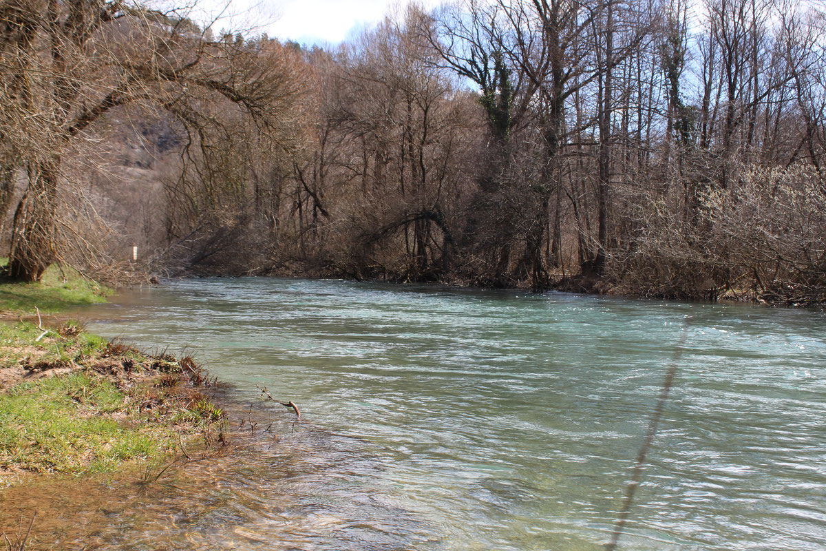 Krka