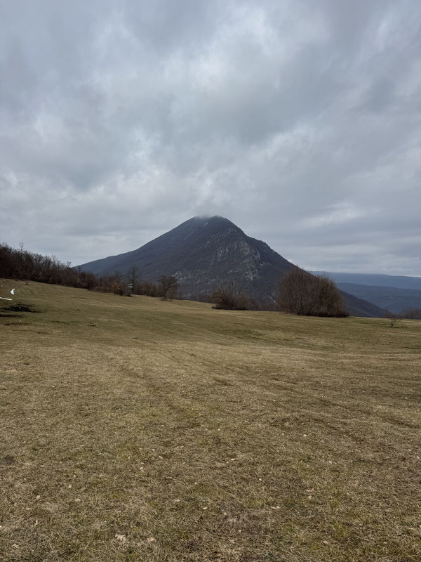 Ljutoč