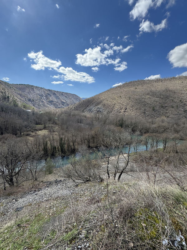 Ušće Krke