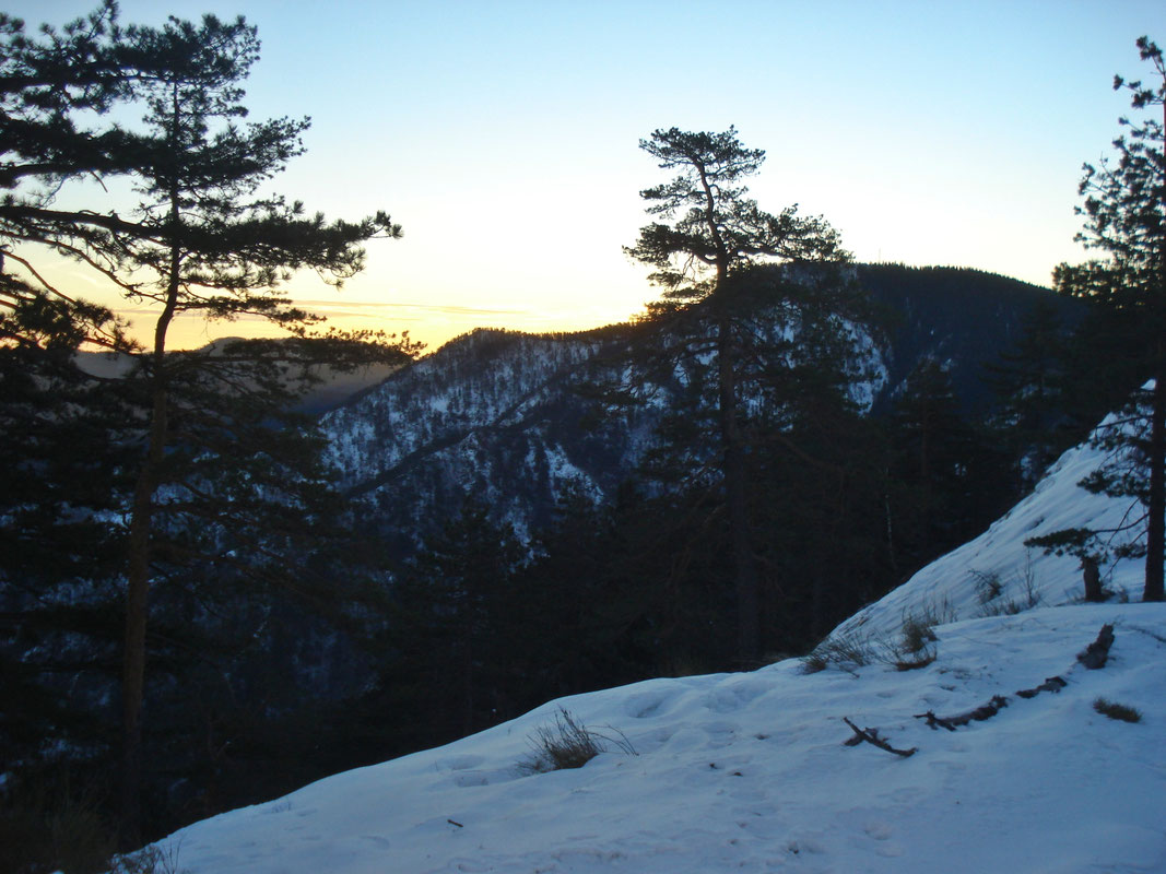 ZP Konjuh